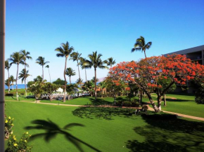 Maui Sunset B207